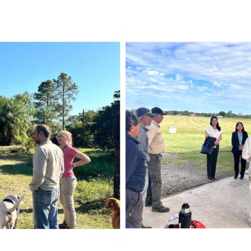 Inspecciones a areneras y desarrollo inmobiliario Inspecciones a areneras y desarrollo inmobiliario