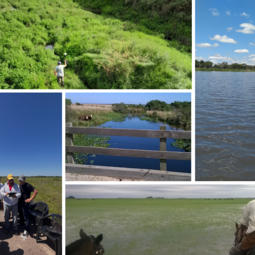 En el Día Mundial del Agua, el ICAA promueve medidas para el uso responsable En el Día Mundial del Agua, el ICAA promueve medidas para el uso responsable