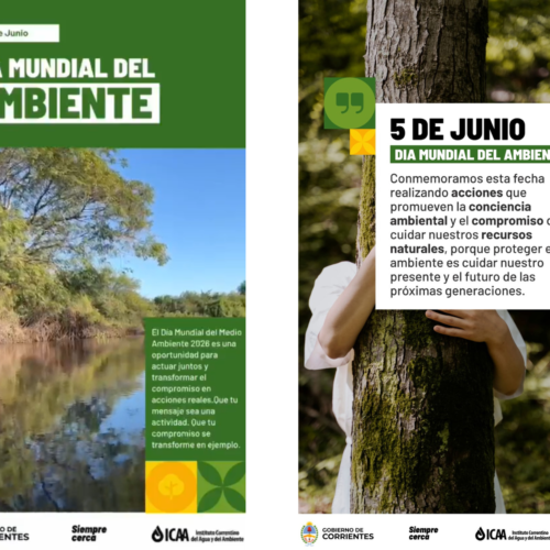 Día Mundial del Ambiente 2026: #AhoraPorElClima Día Mundial del Ambiente 2026: #AhoraPorElClima