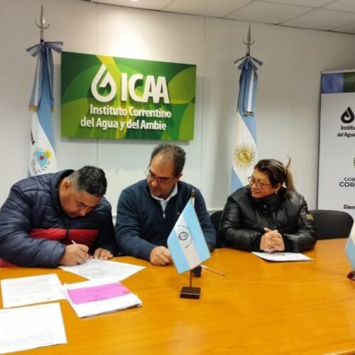 Concesión de carrizales en la Colonia Oficial “La Cucucha” para producción ganadera