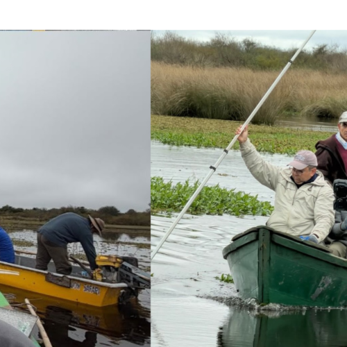 Relevamiento técnico del arroyo Sarandí para prevenir anegamientos en Malvinas
