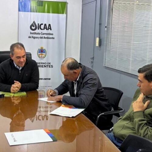 Concesiones de carrizales para actividad ganadera en Goya Concesiones de carrizales para actividad ganadera en Goya