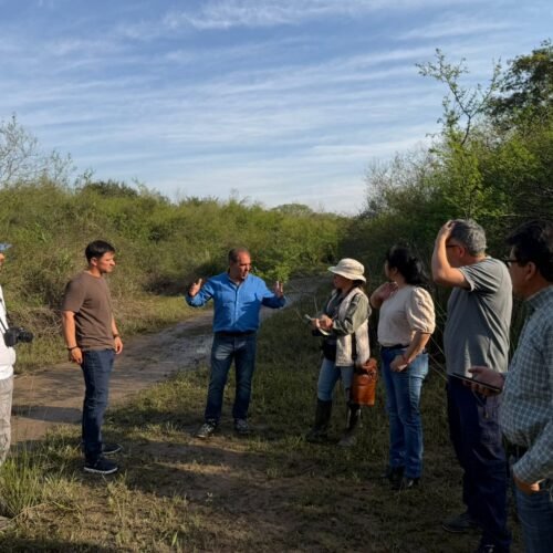 Relevamiento de flora y fauna en San Luis del Palmar