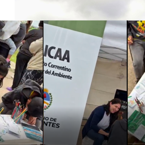 Barrio Irupé. Campañas de educación ambiental en el marco de Corrientes Cerca